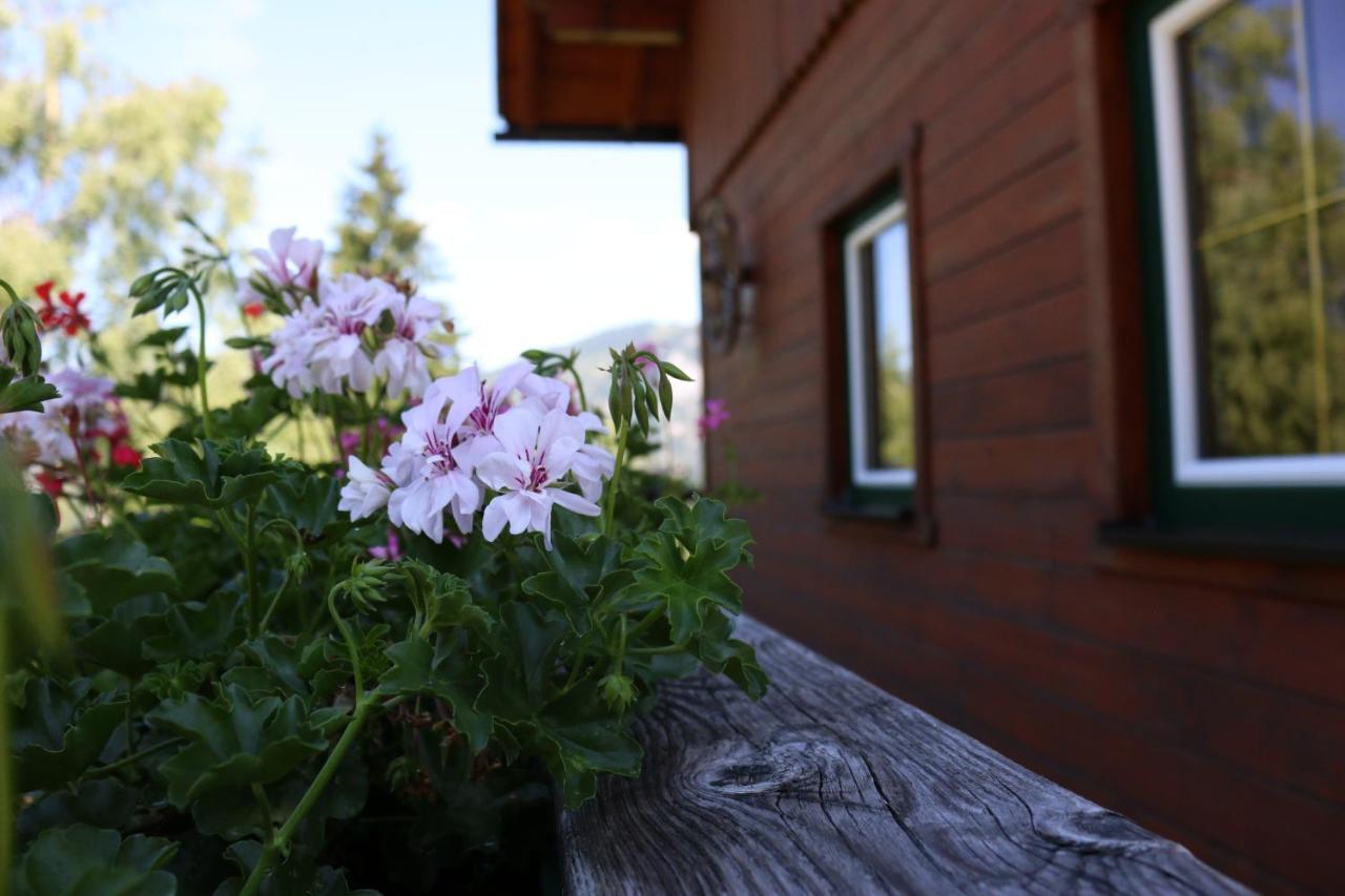 Ferienhaus Am Muehlbach Gams bei Hieflau Dış mekan fotoğraf